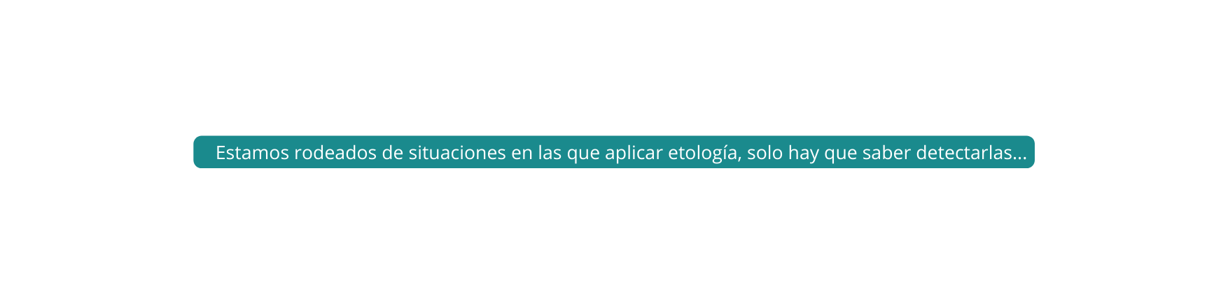 Estamos rodeados de situaciones en las que aplicar etología solo hay que saber detectarlas